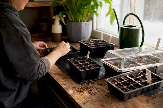 Seed trays on table with heat mat indoors