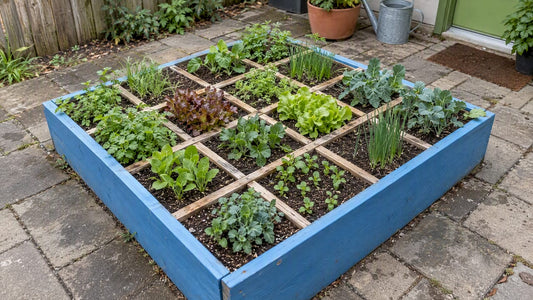 Gridded 4x4 bed planted with vegetables