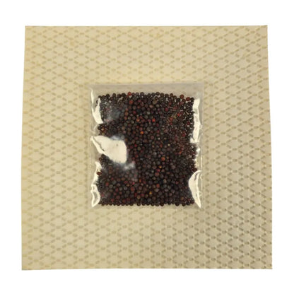 Arugula Microgreens Seeds