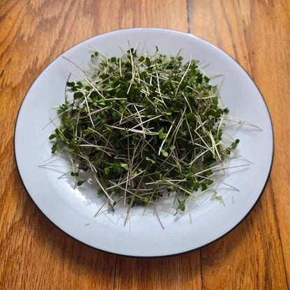 Broccoli Microgreens Seeds