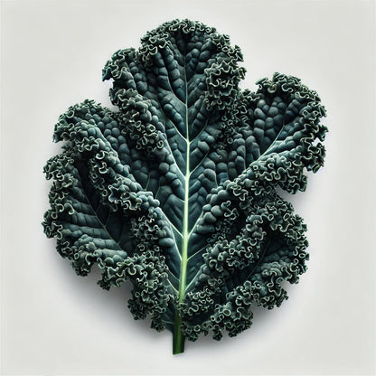 Kale (Mamba) Seeds (4x)