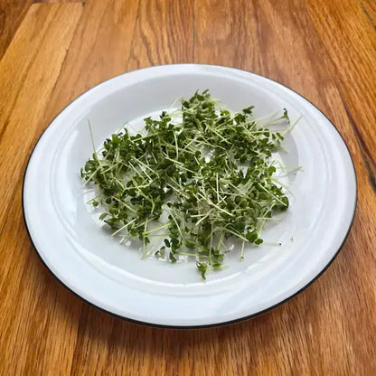 Mustard Microgreens Seeds