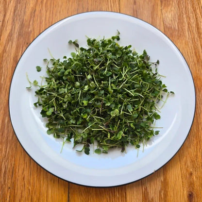 Arugula Microgreens Seeds