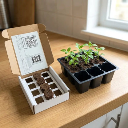 Bell Pepper Seeds (4x)