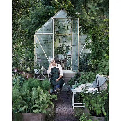 Harmony 6 Ft. X 6 Ft. Silver/Clear DIY Greenhouse Kit