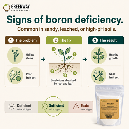 Organic Boric Acid
