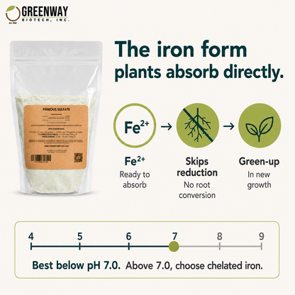 Organic Ferrous Sulfate (Iron Sulfate) | 20% Iron (Fe)